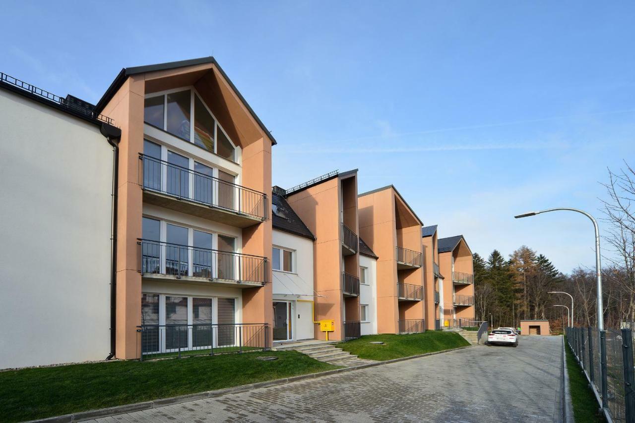 Apartament Sun & Ski Willa K2 Black & White Karpacz Kültér fotó